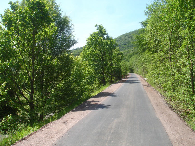 Der Radweg bei Buhlen